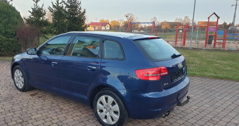 Audi A3 cena 31999 przebieg: 260569, rok produkcji 2010 z Piotrków Kujawski małe 781